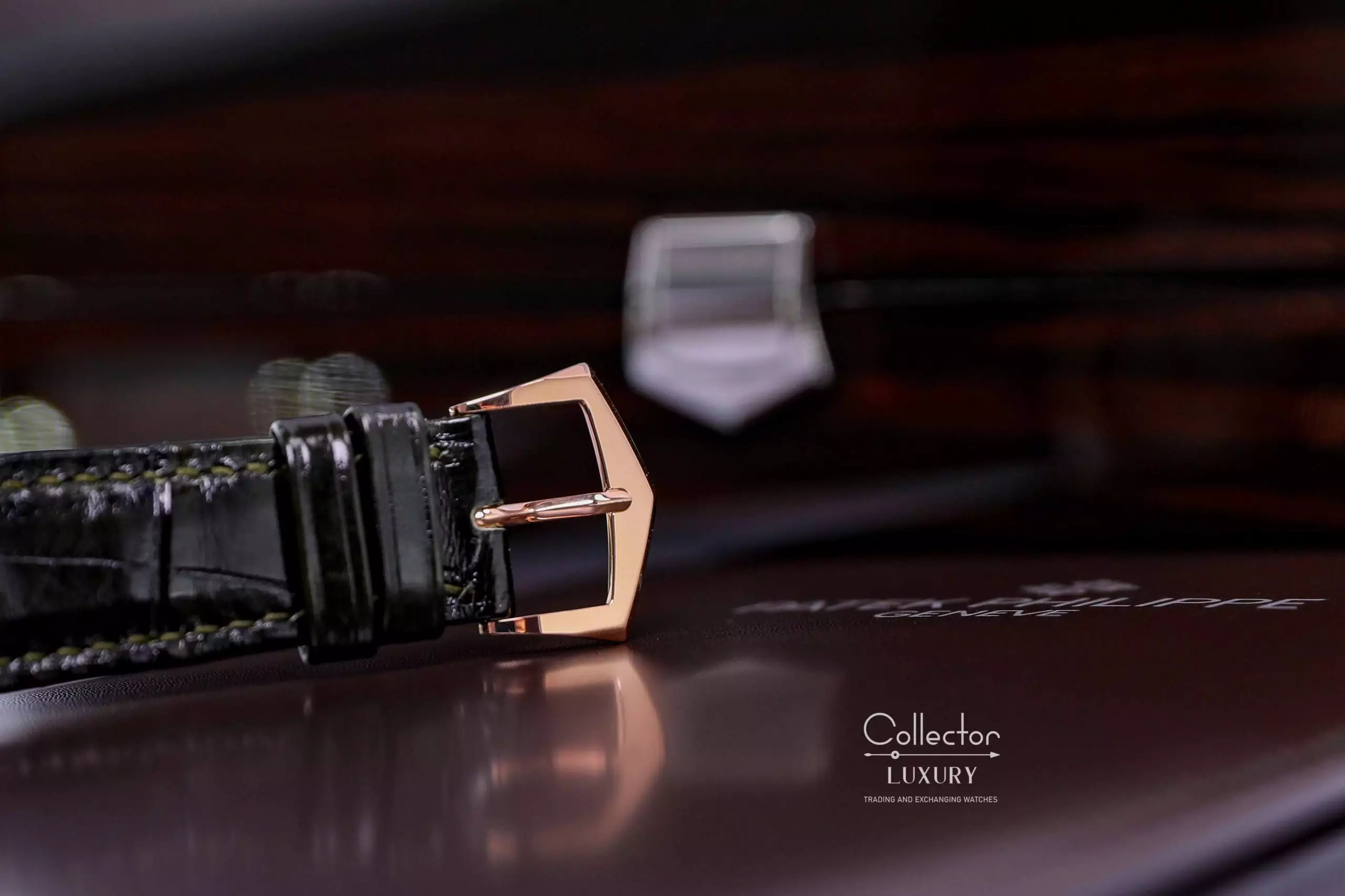 PATEK PHILIPPE Complications - 5205R-011 Annual Calendar, Moonphase - Green Dial - 40mm -  Rose Gold 18K - Ảnh 9